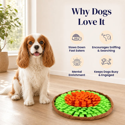 Tangerine Twist Deluxe Snuffle Mat - Why Dogs Love It