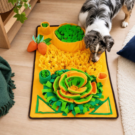 Squeaky Twin Snuffle Mat