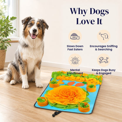 Blue Lagoon Snuffle Mat - Why Dogs Love It