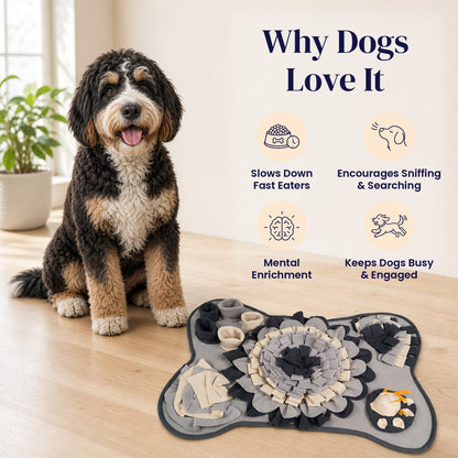 Stone Bone Snuffle Mat - Why Dogs Love It