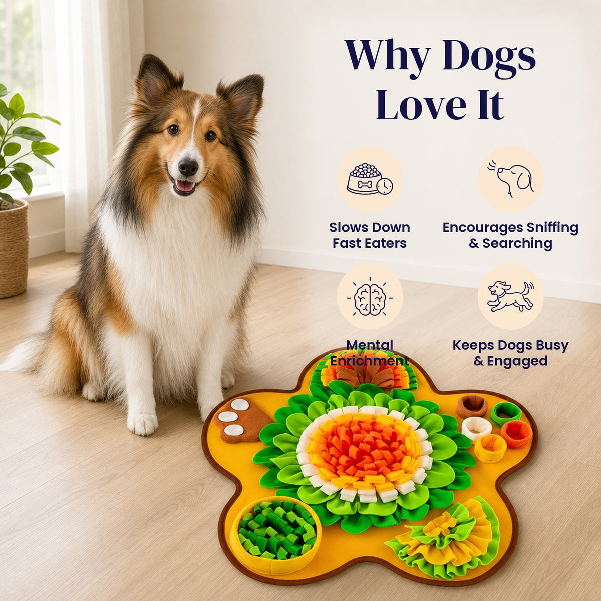 Rainbow Pentagon Snuffle Mat - Why Dogs Love It
