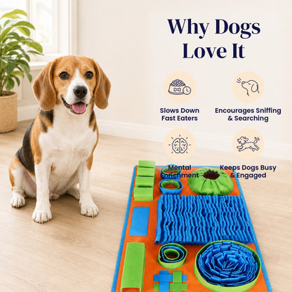 Pumpkin Patch Snuffle Mat - Why Dogs Love It