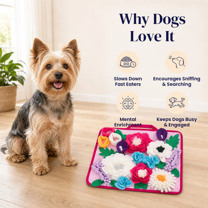 Grape Vine Snuffle Mat - Why Dogs Love It