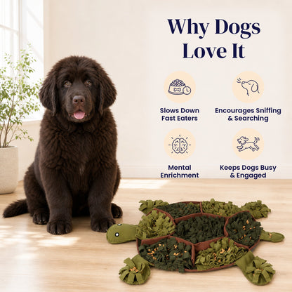 Jungle Turtle Snuffle Mat - Why Dogs Love It