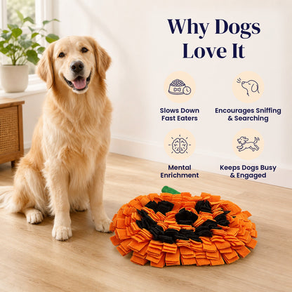 Halloween Pumpkin Snuffle Mat - Why Dogs Love It
