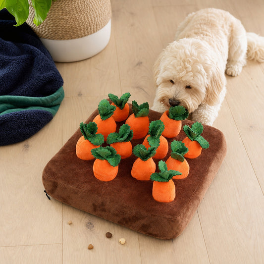 Carrot Patch Snuffle Toy - 12 Carrots